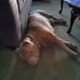Julie Moore - Facebook