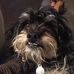 Julie Mount - Facebook
