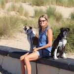 Julie Wilding Mount - @juliewildingmount - Instagram