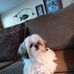 Julie Murphree - Facebook