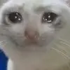 :> - @julie..olvera25 - TikTok