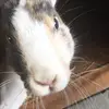 Julie - @julieolvera605 - TikTok