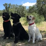 Julie Papp - @juliespapp - Instagram