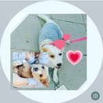 Juliepapies❤ - @juliepappies38 - Instagram