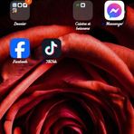 Julie Parris - Facebook