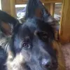 Julie Parris - @julieparris4 - TikTok