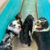 julieparris936 - @julieparris936 - TikTok