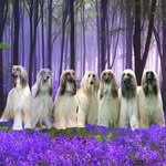 Julie Parsons - @julie.parsons.123 - Instagram