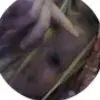 julie.parson - @julie.parson - TikTok