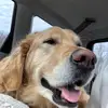 Julie Patch - @tickity_tokity1234 - TikTok