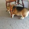 juliesmithpatch - @juliesmithpatch - TikTok