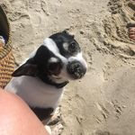 Julie DeLoach Peeples - @deloachpeeples - Instagram