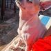 Julie Pell - Facebook