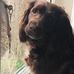 Julie Perrin - Facebook