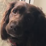 Julie Perrin - @puliejerrin - Instagram