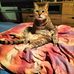 Julie Perrin - Facebook