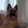 Julie Perrin - @julie.perrin2 - TikTok