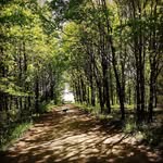 Julia Pichler - @julia._.pichler - Instagram