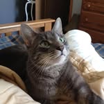 Julie Pichler - @pichler8833 - Instagram