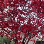 Julie Preece - @nannypreece - Instagram