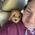 Julie Preece - @im.justjulie - Instagram
