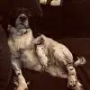 Julie Preece - @juliepreecexo - TikTok