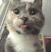 Julia Preiss - Facebook