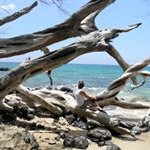 Julie Pressey - @julie_pressey - Instagram
