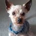 Julie Procter - Facebook