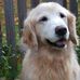 Julie Pullen - Facebook