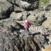 Julie Pyatt - Facebook