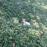 Julie Ralph - @the_og_xcmom - Instagram