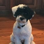 Julie Ralph Lindsay - @juliesporties - Instagram