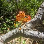 Julie Rawson Riggs - @rawsonriggs - Instagram