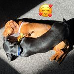 Julie Ready - @fun_at50 - Instagram