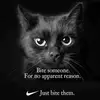 Julie Redden - @julie.redden - TikTok