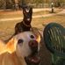 Julie Redden - Facebook