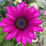Julie - @julie_redman - Instagram