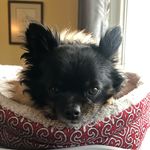 Julie Redman - @redman2624 - Instagram