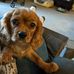 Julie Reiser - Facebook