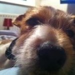 Julie Ricketts - @buttonruby - Instagram