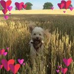 Julie Ricketts - @jrteddybear - Instagram