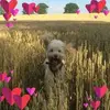 juliericketts47 - @juliericketts47 - TikTok