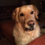 Julie Rinker - @chasemaxshelby - Instagram