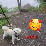 Julie Robillard - @jewleerobillard - Instagram