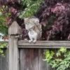 julierood281 - @julierood281 - TikTok