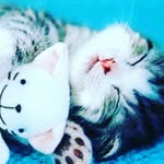 julie - @julie_rosette - Instagram