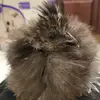 Julierule - @julierule27 - TikTok