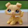 JULIERULEZ4444 - @julierulez4444 - TikTok