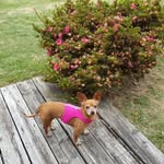 Julie Trumble Krbec - @julietrumblekrbec - Instagram